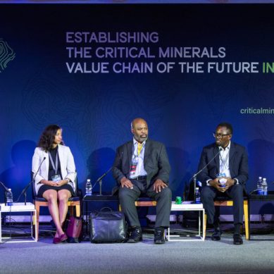 Economics and viability of critical minerals and rare earth element summit explores investment in Africa
