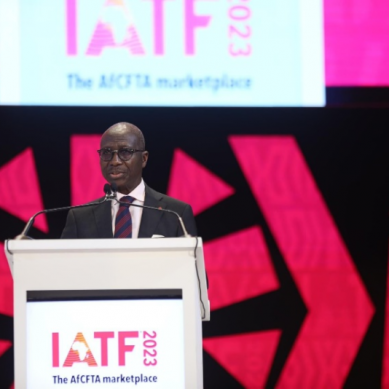 Intra-African Fair in Cairo told AfCFTA can end colonial legacy of exporting raw materials