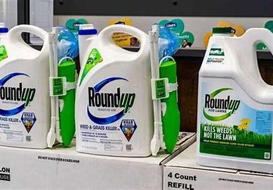 Bayer pharmaceutical ordered to pay $2.25 billion after jury links herbicide Roundup to cancer