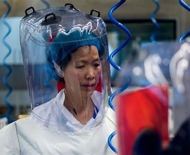Wuhan lab’s ‘Bat Lady’ Shi Zhengli met x-US health director Fauci at NIH in 2017, emails reveal