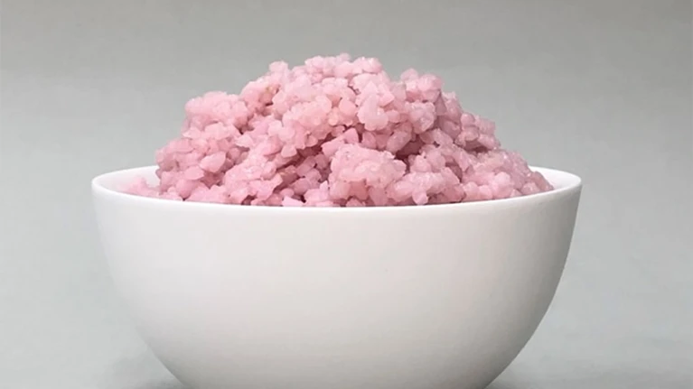 Researchers at Washington University create ‘meat-rice’ they say is fleshier, has more protein