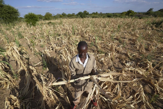 A cycle of extreme weather, drought in southern Africa leaves some 20 million facing hunger