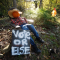 New normal: Americans start seeing electoral violence as ‘part of the way politics happens’