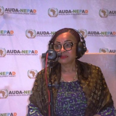 Food security: African Union working on long term plan to raise cropland, cut further imports