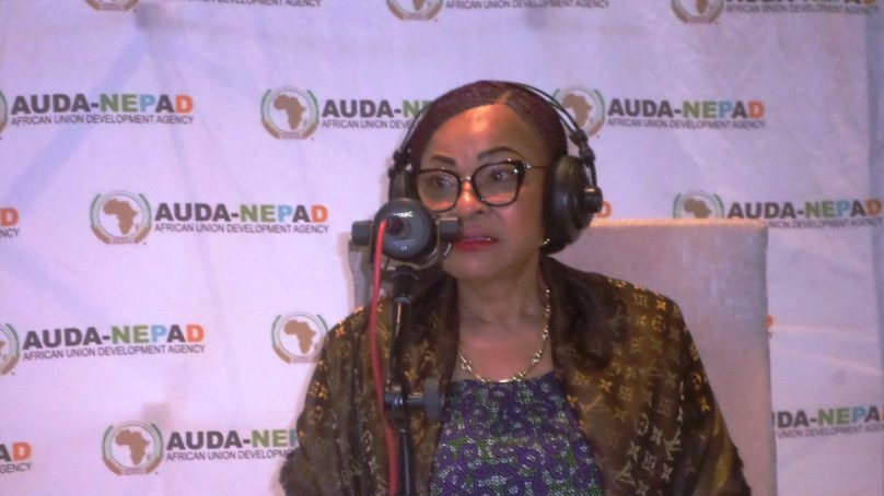 Food security: African Union working on long term plan to raise cropland, cut further imports