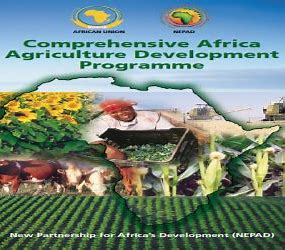 Uganda gears up for unveiling of AU’s 10-year strategic plan to up food production