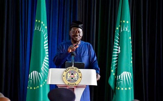 Africa deserves three permanent UN Security Council seats, say African Union chair candidates