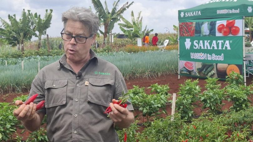 Previously synonymous with ‘hot’ Indian cuisines pepper in Kenya is changing into a cash as demand surges on world market
