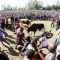 Governor in western Kenya lays out plans for Kakamega County bullfighting tournament, ‘premier’ league