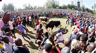 Governor in western Kenya lays out plans for Kakamega County bullfighting tournament, ‘premier’ league