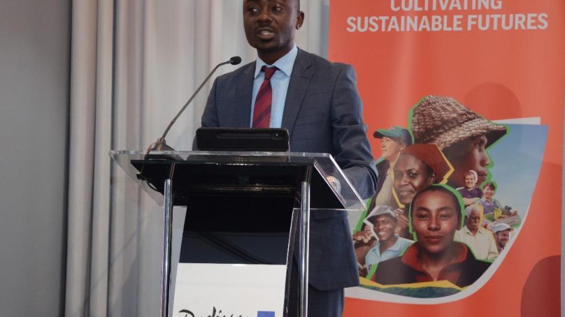 NExT programme steering Kenya’s horticulture exports competitiveness in bruising world market