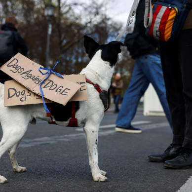 Anti-Trump protesters pour in Washington and other US cities as high tariffs anger consumers