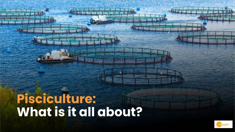 Fish farmers in Vihiga County trained as pisciculture becomes a key economic activity western Kenya