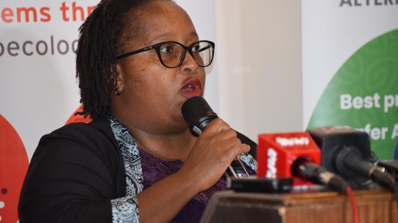 Food safety activists in Kenya pile pressure on state to make public list of banned pesticides