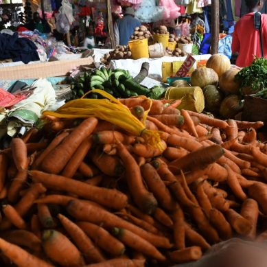 Kenya’s finance minister casts starry outlook as he launches Economic Survey 2025