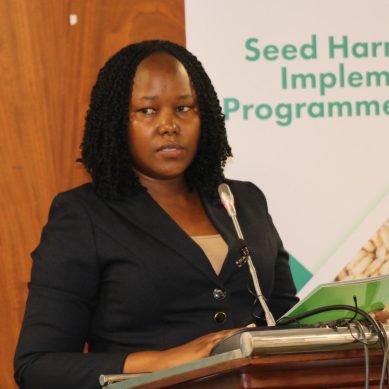 Nairobi meeting: Harmonisation of seed policies key to realising food security in COMESA bloc
