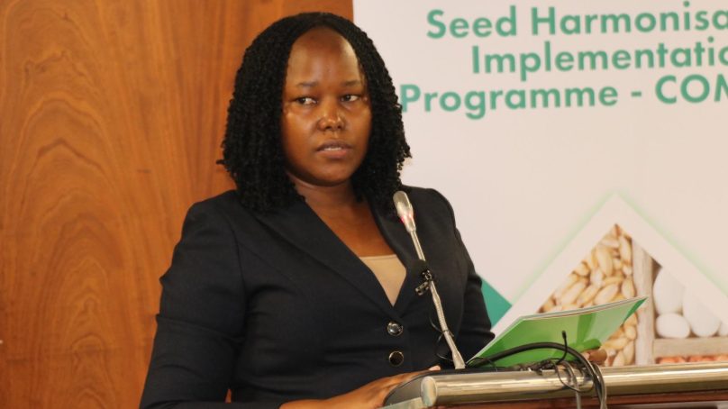Nairobi meeting: Harmonisation of seed policies key to realising food security in COMESA bloc