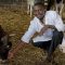 How insufficient, delayed funding denies Kenya access to lucrative livestock markets in US, EU and South Africa