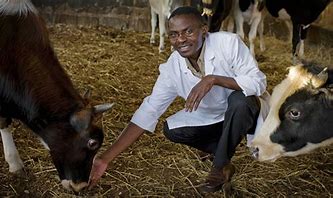 How insufficient, delayed funding denies Kenya access to lucrative livestock markets in US, EU and South Africa