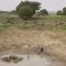 Nigeria food security: How water over-extraction, deforestation have created Africa’s hungriest nation