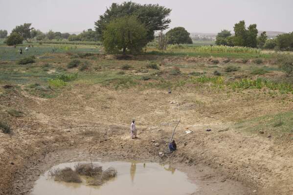 Nigeria food security: How water over-extraction, deforestation have created Africa’s hungriest nation