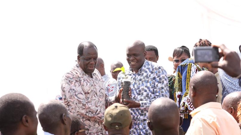 Western Kenya dumping sugarcane farming for coffee as minister vouches for higher farmer incomes