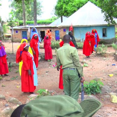 Hawking prosperity gospel: From Finger of God to Helicopter of Jesus, how rogue pastors in Kenya exploit lacuna in law to fly faithful into turbulence