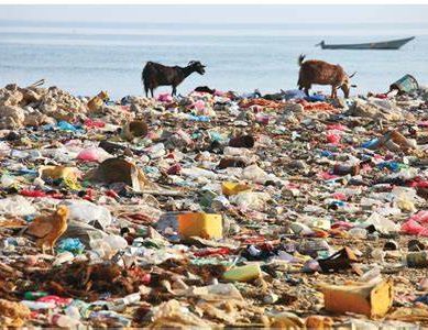 Dear Ugandans, Museveni and his disciples maybe guilty of ‘environmental stupidity’ but you gave him an open cheque for the travesty