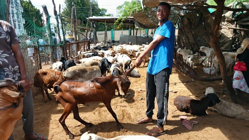 Consumers grapple with soaring goat prices in Mombasa ahead of Muslim Eid al-Adha holiday