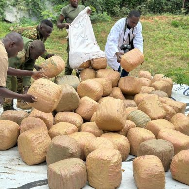 Police reservists lay bare hitherto unknown illicit narcotics trafficking in northern Kenya after netting 72 bales of marijuana
