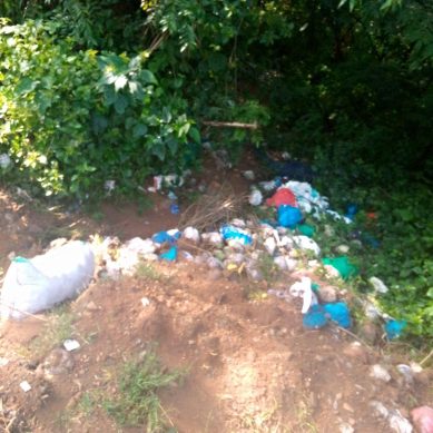 Baby diapers choke Migori as Lake Victoria region in Kenya registers high fertility rates, rapid urbanisation
