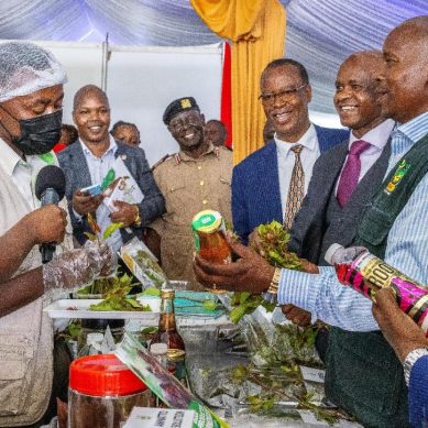 State withdrawal of bill to delist herbal stimulant from protected crops excites farmers in central Kenya  