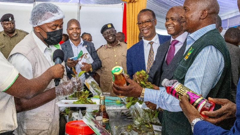 State withdrawal of bill to delist herbal stimulant from protected crops excites farmers in central Kenya  