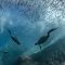 United Nations ocean summit in Nice ends with a raft of commitments, some seen as ambiguous