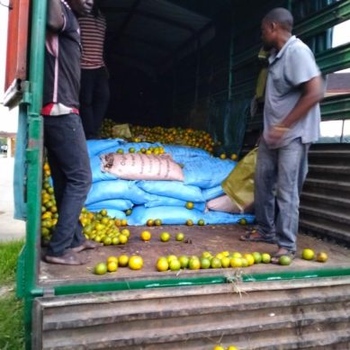 KRA crackdown on uncustomed goods nets 144 bags of contraband sugar at Lunga border post