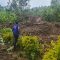Environmental noise pollution: A scourge ravaging Uganda in the name of development