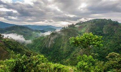 How Uganda is a classic case of environmental corruption polluting environmental democracy