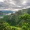 How Uganda is a classic case of environmental corruption polluting environmental democracy