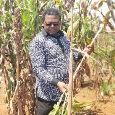 Luhyia spice ‘munyu mfume’ cited as reason people in western Kenya are strong in bed in old age, show low cancer and hypertension incidence