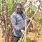 Luhyia spice ‘munyu mfume’ cited as reason people in western Kenya are strong in bed in old age, show low cancer and hypertension incidence