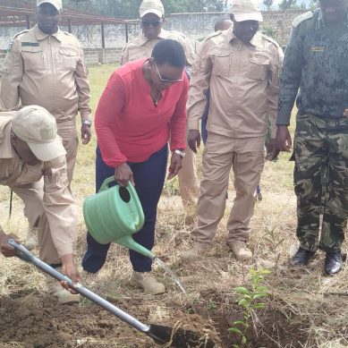 10,000 prisoners in Kenya enrolled in controversial government medical scheme