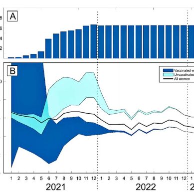 Behind glossy picture of European demographics, it emerges that Covid vaccines may have fixed the power and flair of women to bear children