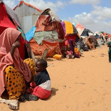 UN refugee food rations cut is a serious environmental and terrorism threat in north-eastern Kenya, warns MP