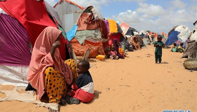 UN refugee food rations cut is a serious environmental and terrorism threat in north-eastern Kenya, warns MP