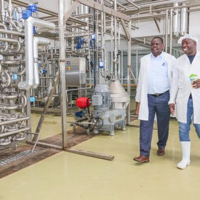 How Nandi in Kenya’s Rift Valley is pivoting agriculture as key driver of economic resurgence