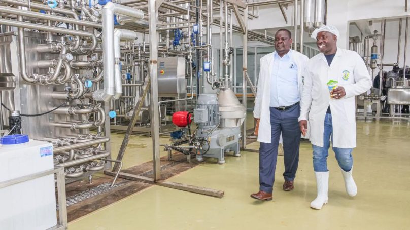 How Nandi in Kenya’s Rift Valley is pivoting agriculture as key driver of economic resurgence