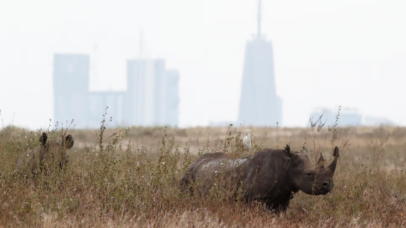 Nairobi like a local: When foreigners touch down in Kenyan capital, they forfeit desire to return to Europe or American