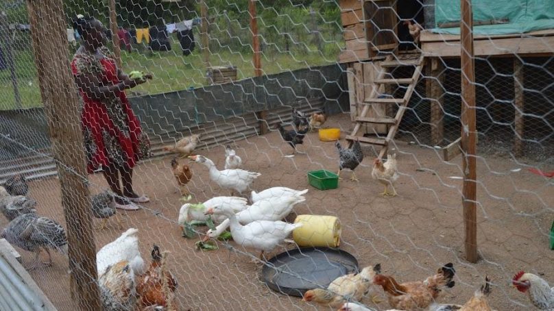 Faith and economy: Kenyan pastor goes beyond spiritual healing and trains flock in economic self-reliance