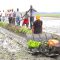 Machine to slash rice production cost in central Kenya and Lake Victoria Basin