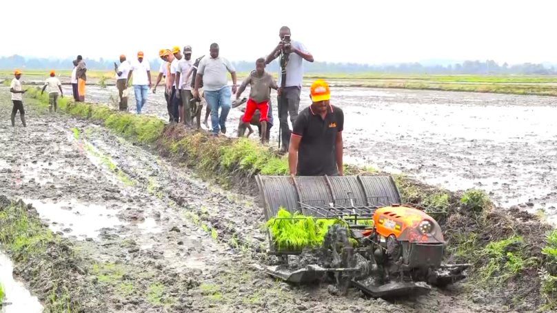 Machine to slash rice production cost in central Kenya and Lake Victoria Basin